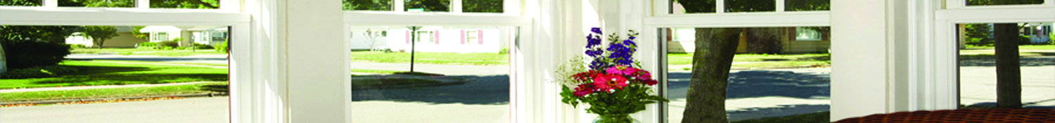 Residential Window Services